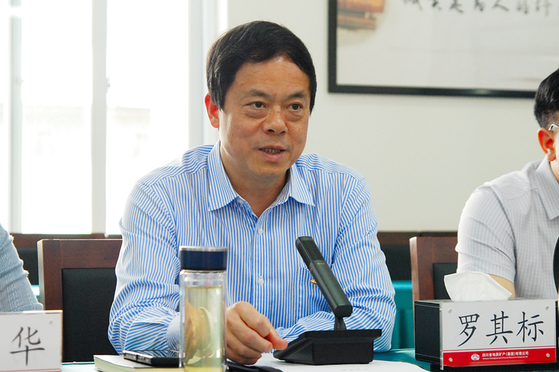罗书记